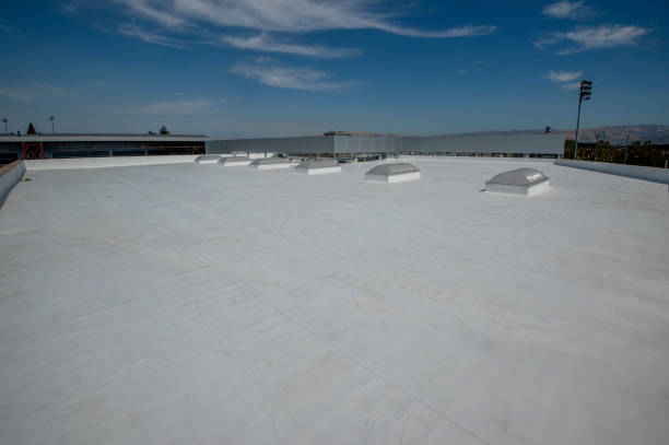 Best Roof Ventilation Installation  in Riverdale Park, CA