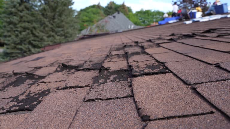 Best Emergency Roof Repair Services  in Riverdale Park, CA
